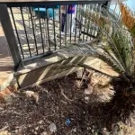 1296EAE9-6DF1-42A3-B65B-65E96F7B24EA