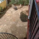 MVIMG_20180219_145629